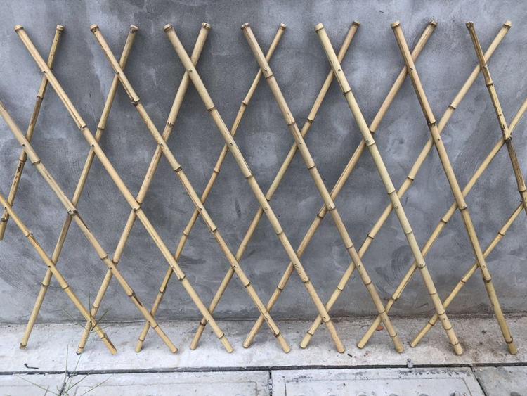 竹籬笆圍欄