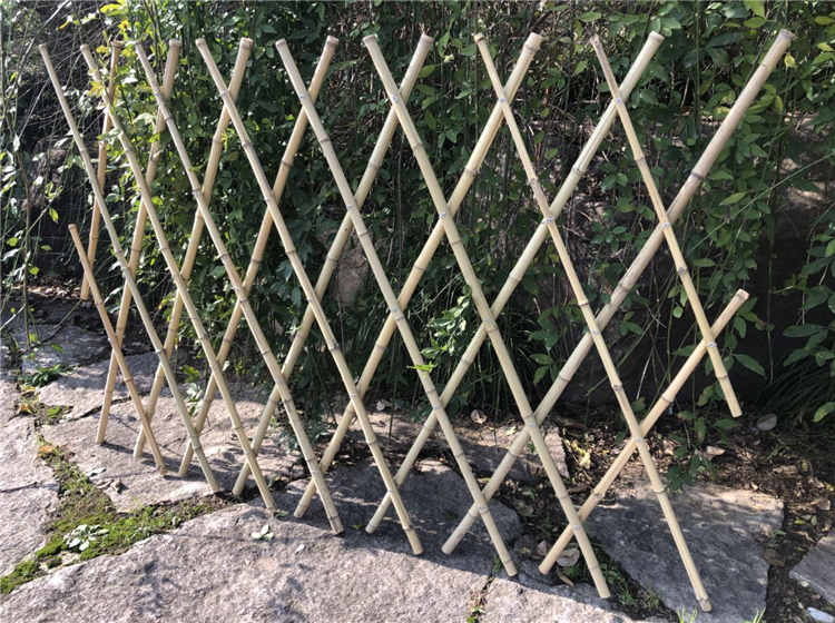 園林竹籬笆