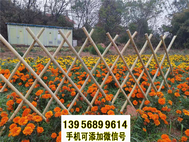 新綠化帶竹籬笆圍欄