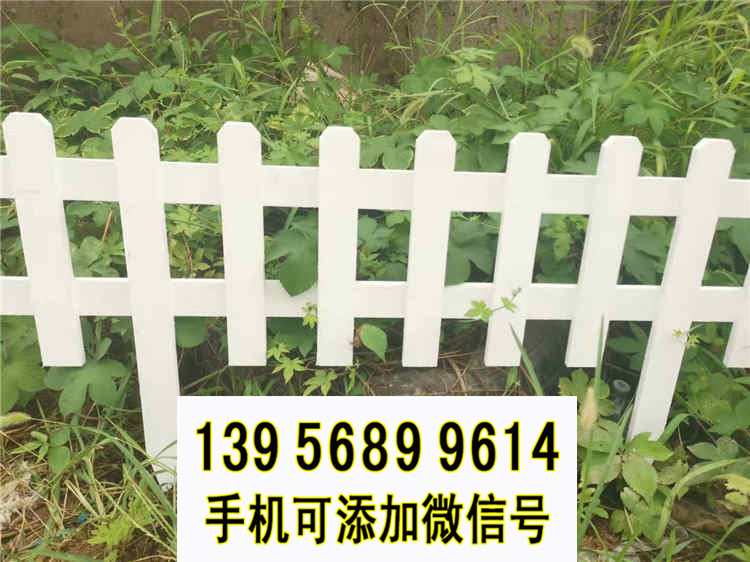 美麗鄉(xiāng)村竹籬笆圖片