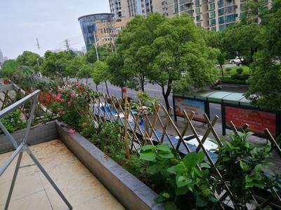 竹籬笆柵欄圖片