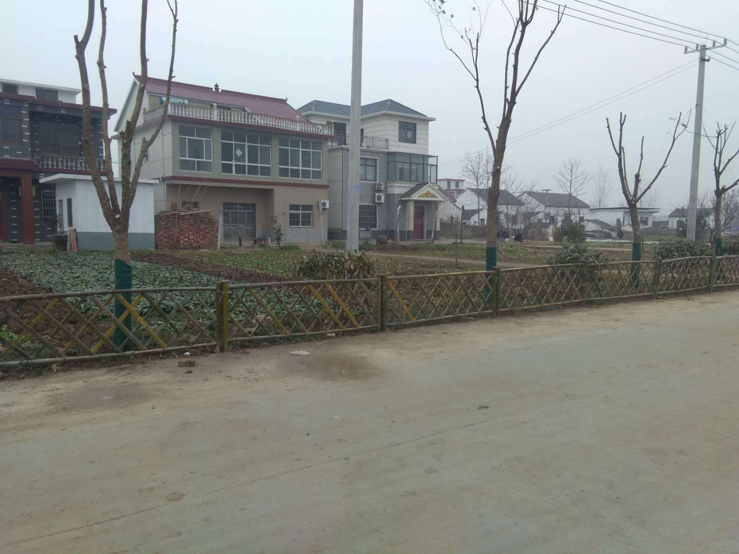 竹子護欄 竹子護欄