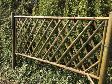 農家小院竹子籬笆圖片 農家小院竹子籬笆圖片