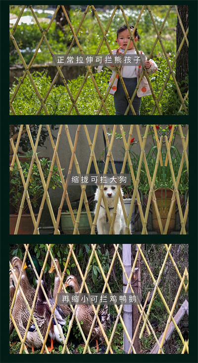 竹子圍欄 竹子圍欄