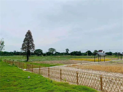 竹子護欄 竹子護欄