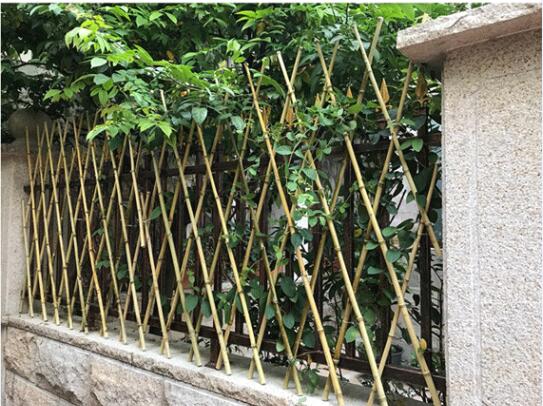 武康光明小區(qū)戶外竹籬笆柵欄欄桿