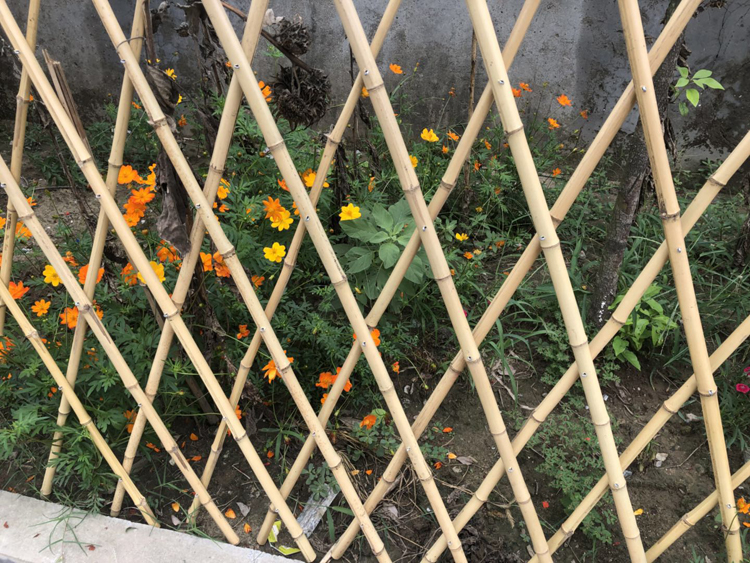 竹籬笆供應商