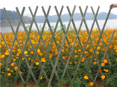 交叉竹籬笆怎么扎可以防腐?