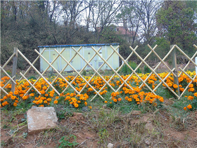 竹籬笆樣式圖片展現的形式有許多種?