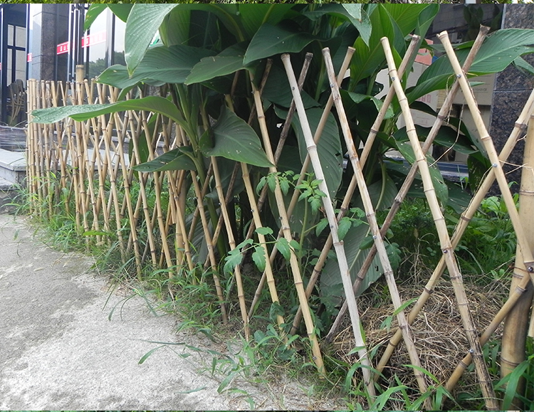 自制竹籬笆門怎么解決環境的問題了?