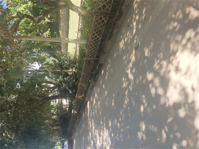 鄉村中使用竹子圍欄使用常規做法！